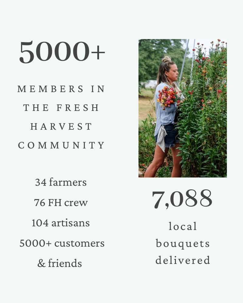 The Fresh Harvest community includes over 5000+ customers and friends, 34 farmers, 26 staff and 104 artisans. In addition, we delivered over 7,000 local bouquets in 2021.