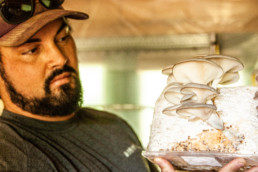 They cultivate a variety of mushrooms at Hearts of Harvest Farm
